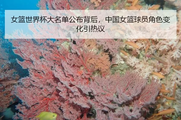 nv-lan-shi-jie-bei-da-ming-dan-gong-bu-bei-hou-zhong-guo-nv-lan-qiu-yuan-jue-se-bian-hua-yin-re-yi-2-557.jpg